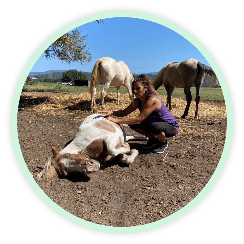 Femme effectuant un soin énergétique sur un cheval allongé dans un champ, entouré d'autres chevaux, avec un paysage naturel en arrière-plan.