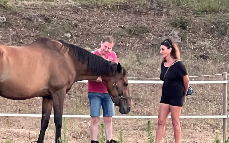 Homme et femme interagissant avec un cheval dans un enclos, illustrant une session d'équi-coaching holistique où la connexion émotionnelle et la communication avec l'animal sont au centre de l'approche.