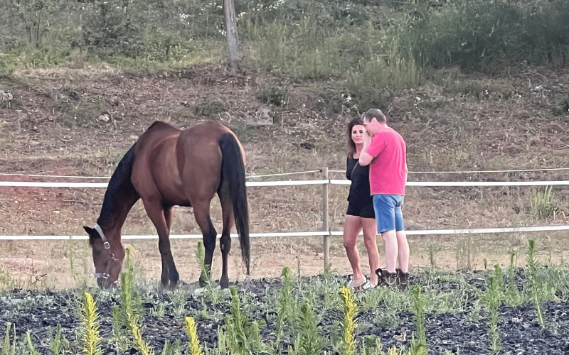 Homme et femme observant un cheval broutant dans un enclos, lors d'une session d'équi-coaching holistique, illustrant l'approche thérapeutique et la connexion avec l'animal.