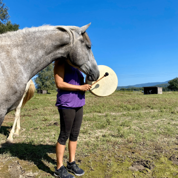 Femme tenant un tambour chamanique avec un cheval gris proche d'elle, lors d'une séance d'équi-coaching holistique en plein air sous un ciel bleu.