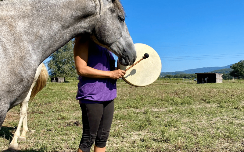 Femme tenant un tambour chamanique avec un cheval gris proche d'elle, lors d'une séance d'équi-coaching holistique en plein air sous un ciel bleu.